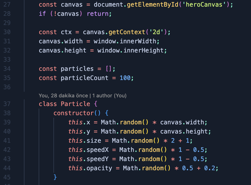 Özel Yazılım ve Kod Geliştirme Hizmetleri